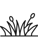 Pajiște / teren pârloagă